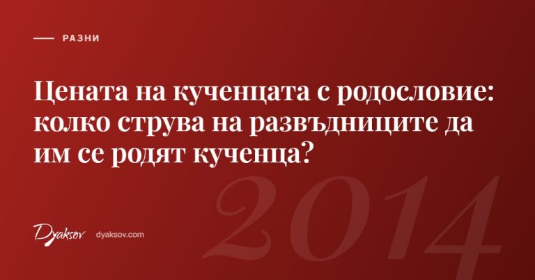 Цената на кученцата с родословие: колко струва на развъдниците да им се родят кученца?