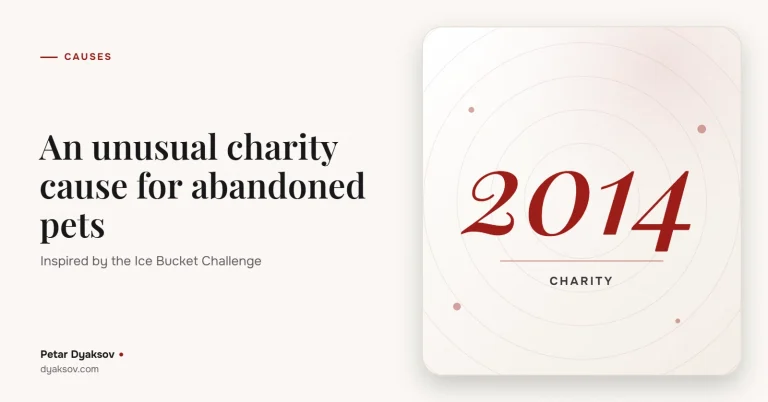 An unusual charity cause, or how to give abandoned pets a better life